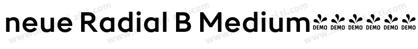 neue Radial B Medium字体转换